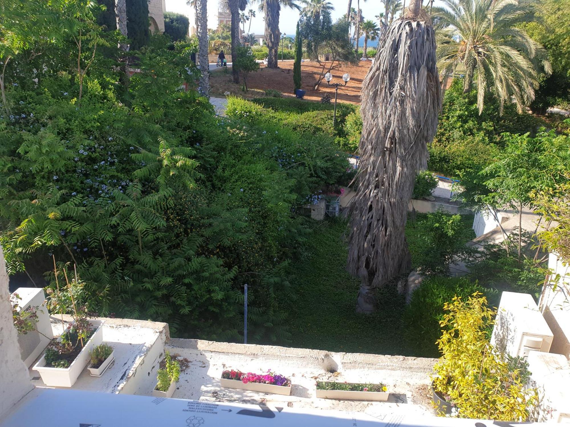 Luxury Studio At The Heart Of Old Jaffa Tel Aviv Eksteriør billede